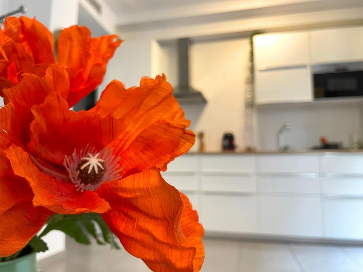 Skysea Holidays City Center Suites Málaga Dış mekan fotoğraf